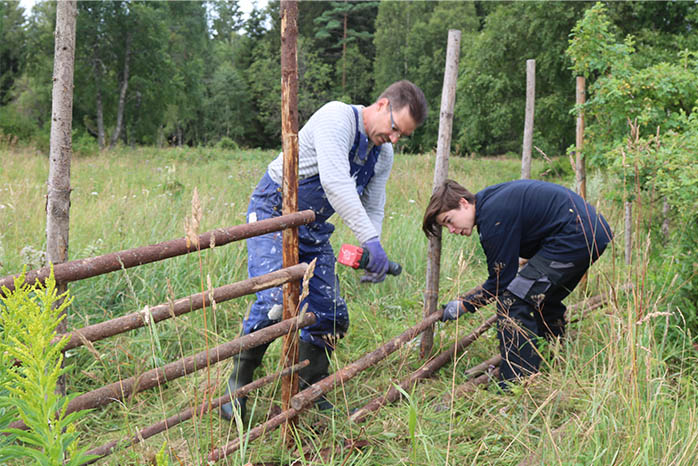 Restaureringer hegnspæl og hegn opsætning forår 2017 698x466pxl